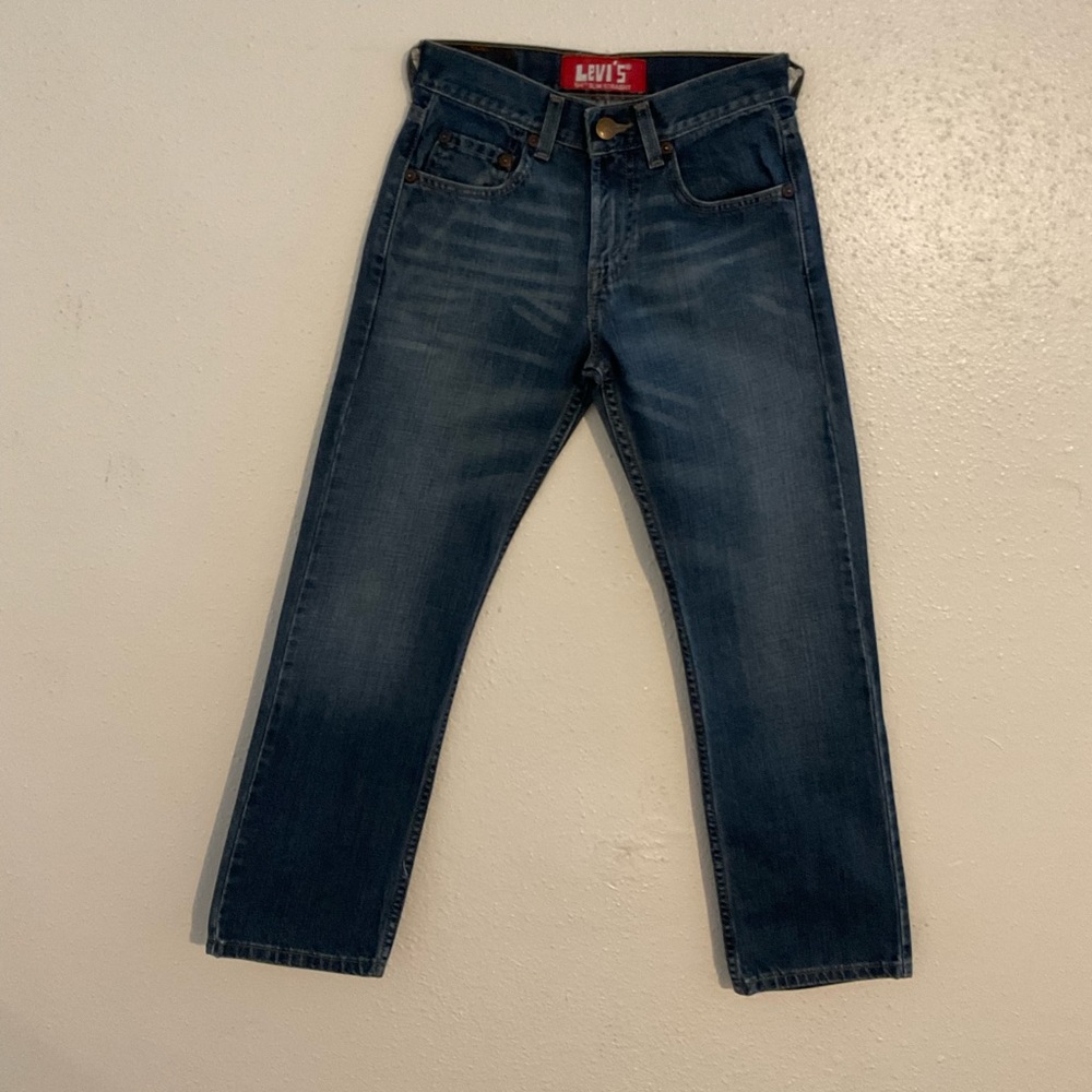 Levi's Men's Navy and Blue Jeans